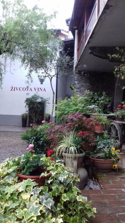 Apartmaji Pri Zivcovih Dutovlje Exterior photo