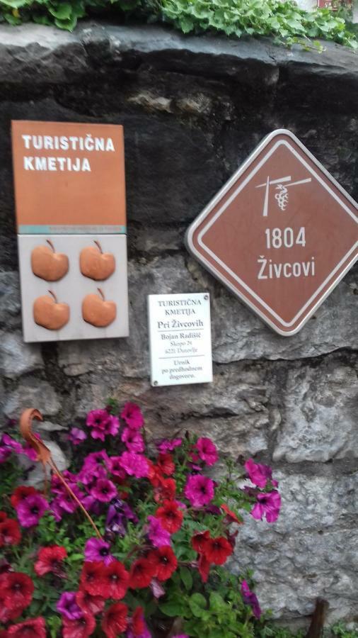 Apartmaji Pri Zivcovih Dutovlje Exterior photo